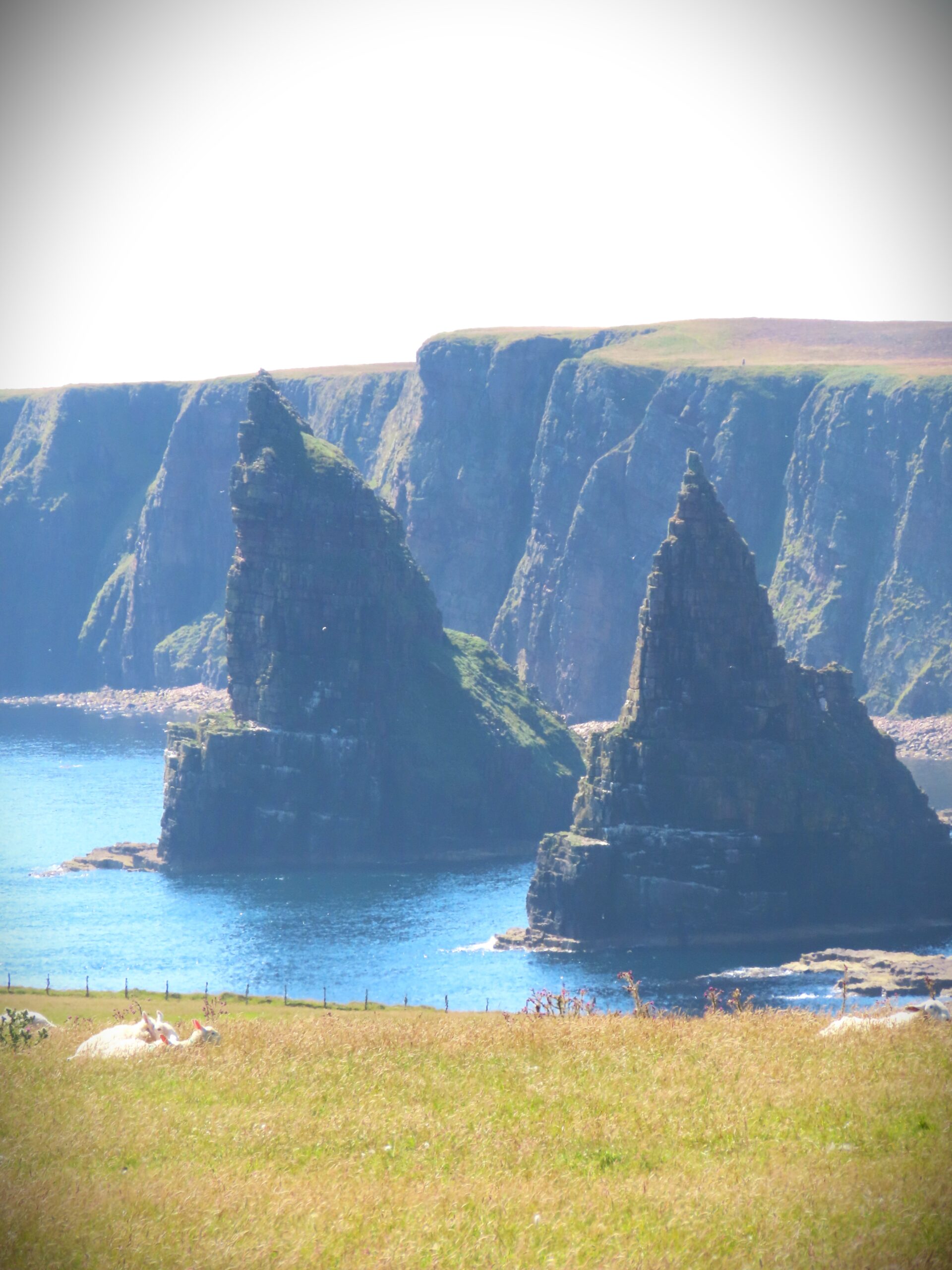 Paesaggio delle Highlands scozzesi con strada solitaria e natura selvaggia, simbolo di digital detox e viaggio lento in Scozia